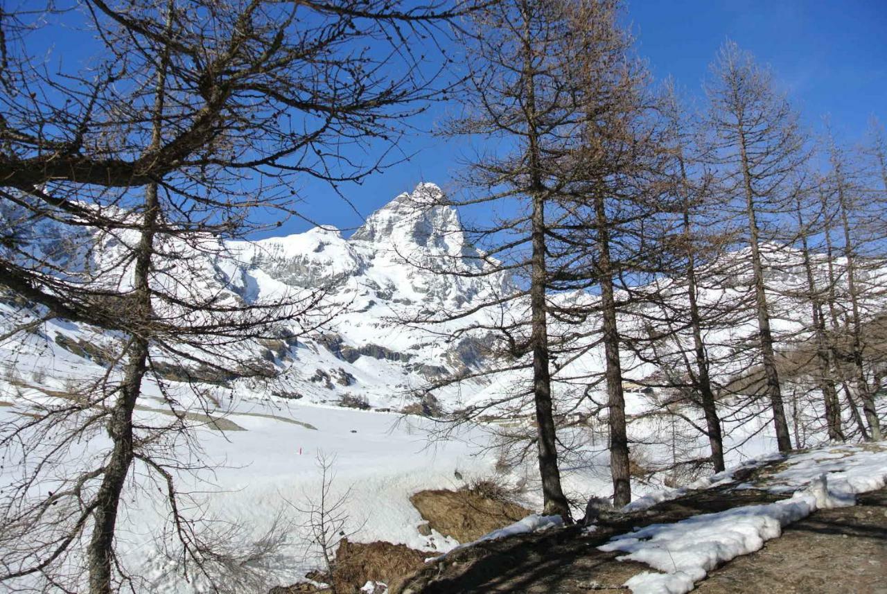 Complesso I Dadi - Residence Cielo Alto - Alberto 21 Breuil-Cervinia Bagian luar foto